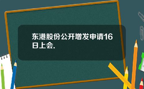 东港股份公开增发申请16日上会.