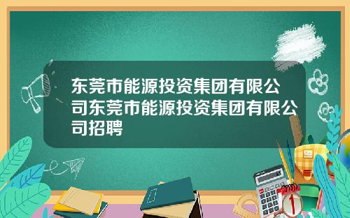 东莞市能源投资集团有限公司东莞市能源投资集团有限公司招聘