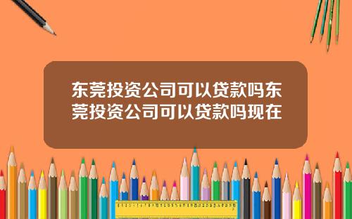 东莞投资公司可以贷款吗东莞投资公司可以贷款吗现在