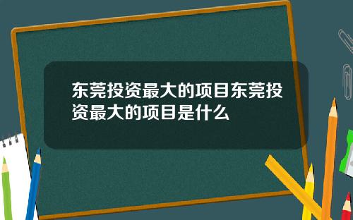 东莞投资最大的项目东莞投资最大的项目是什么