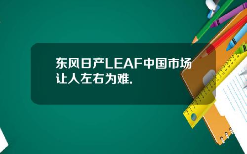 东风日产LEAF中国市场让人左右为难.