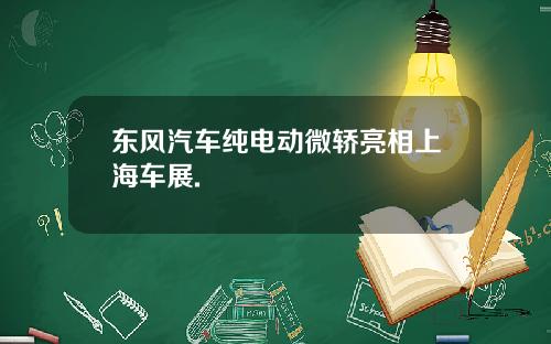 东风汽车纯电动微轿亮相上海车展.