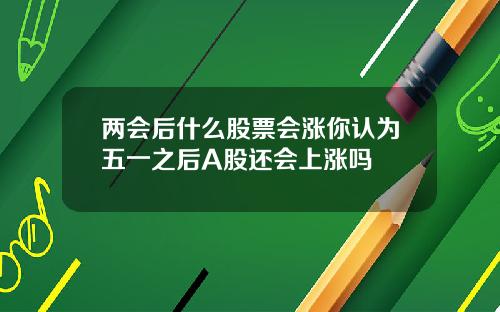 两会后什么股票会涨你认为五一之后A股还会上涨吗
