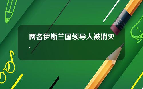 两名伊斯兰国领导人被消灭.