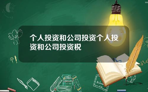 个人投资和公司投资个人投资和公司投资税
