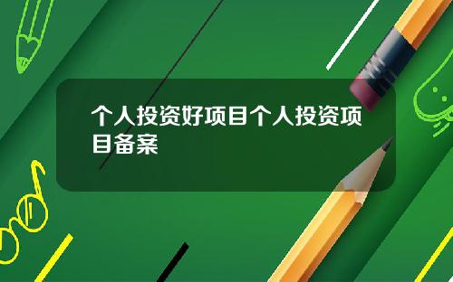 个人投资好项目个人投资项目备案