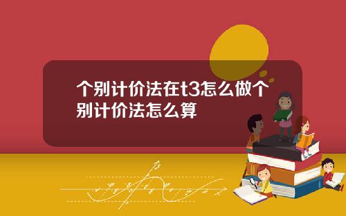 个别计价法在t3怎么做个别计价法怎么算