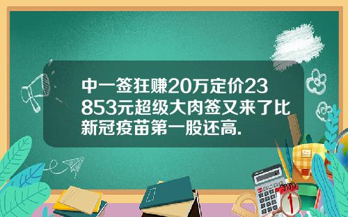 中一签狂赚20万定价23853元超级大肉签又来了比新冠疫苗第一股还高.
