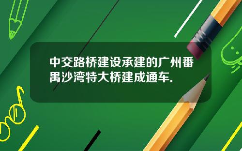 中交路桥建设承建的广州番禺沙湾特大桥建成通车.