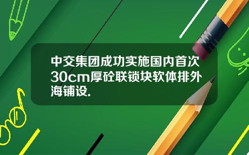 中交集团成功实施国内首次30cm厚砼联锁块软体排外海铺设.