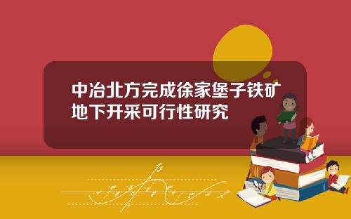 中冶北方完成徐家堡子铁矿地下开采可行性研究