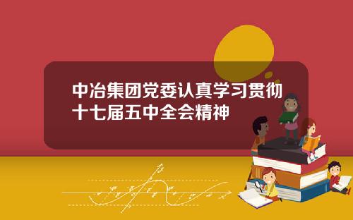 中冶集团党委认真学习贯彻十七届五中全会精神