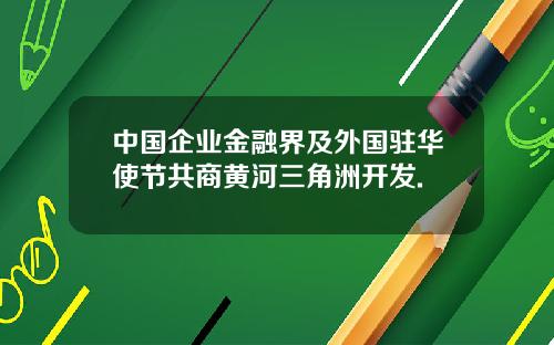 中国企业金融界及外国驻华使节共商黄河三角洲开发.