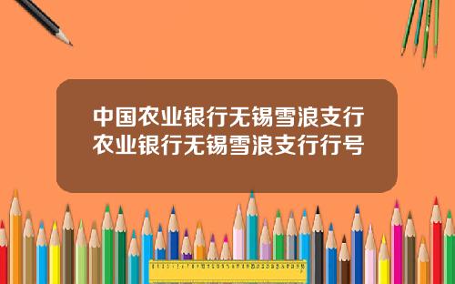 中国农业银行无锡雪浪支行农业银行无锡雪浪支行行号