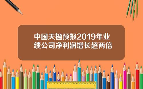中国天楹预报2019年业绩公司净利润增长超两倍