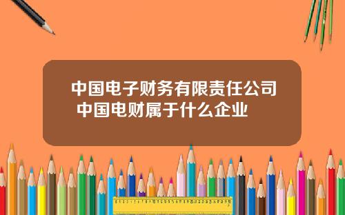 中国电子财务有限责任公司 中国电财属于什么企业