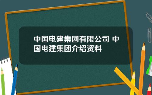 中国电建集团有限公司 中国电建集团介绍资料