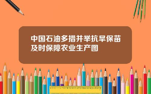 中国石油多措并举抗旱保苗及时保障农业生产图