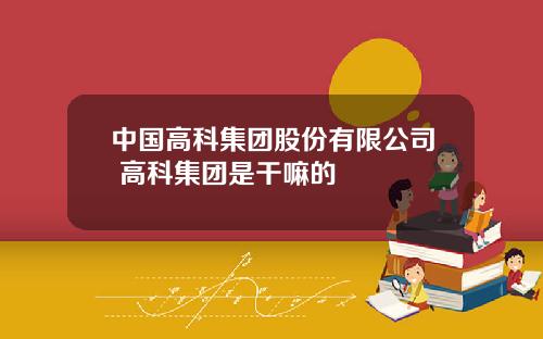 中国高科集团股份有限公司 高科集团是干嘛的