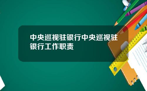 中央巡视驻银行中央巡视驻银行工作职责