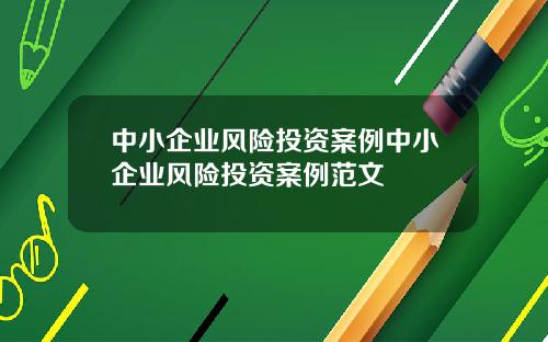 中小企业风险投资案例中小企业风险投资案例范文