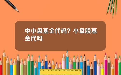中小盘基金代码？小盘股基金代码