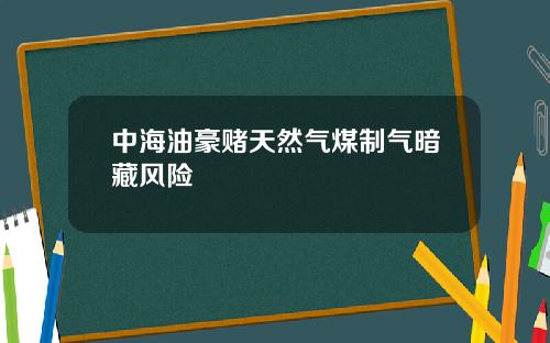 中海油豪赌天然气煤制气暗藏风险