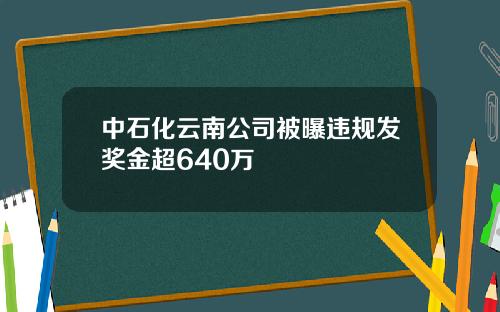 中石化云南公司被曝违规发奖金超640万