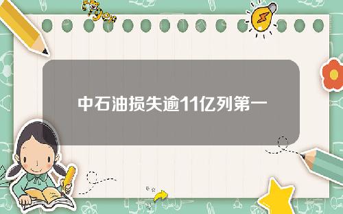 中石油损失逾11亿列第一
