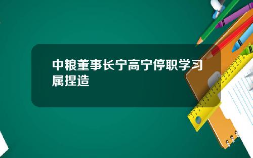 中粮董事长宁高宁停职学习属捏造