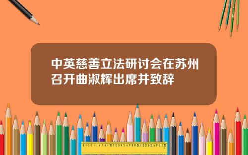 中英慈善立法研讨会在苏州召开曲淑辉出席并致辞