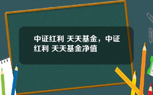 中证红利 天天基金，中证红利 天天基金净值