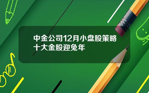 中金公司12月小盘股策略十大金股迎兔年