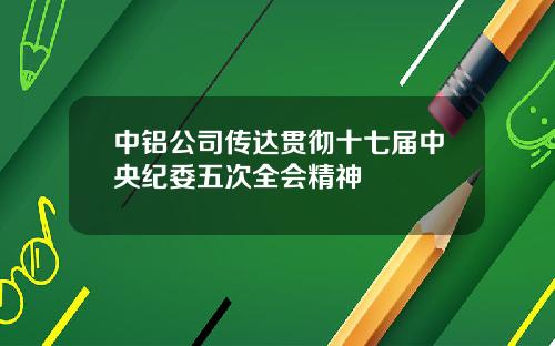 中铝公司传达贯彻十七届中央纪委五次全会精神