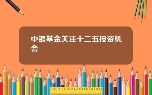 中银基金关注十二五投资机会