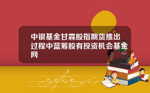 中银基金甘霖股指期货推出过程中蓝筹股有投资机会基金网