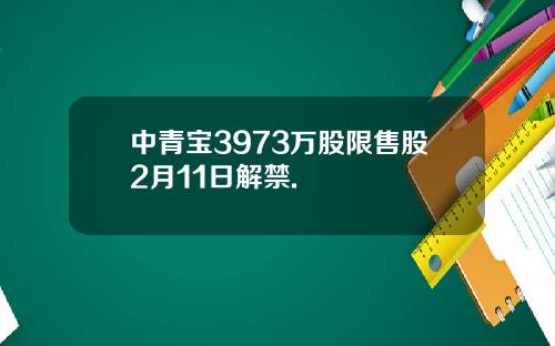 中青宝3973万股限售股2月11日解禁.