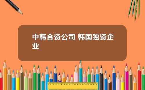中韩合资公司 韩国独资企业