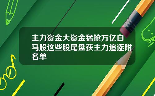 主力资金大资金猛抢万亿白马股这些股尾盘获主力追逐附名单