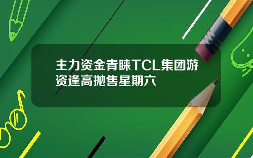 主力资金青睐TCL集团游资逢高抛售星期六