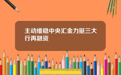 主动维稳中央汇金力挺三大行再融资