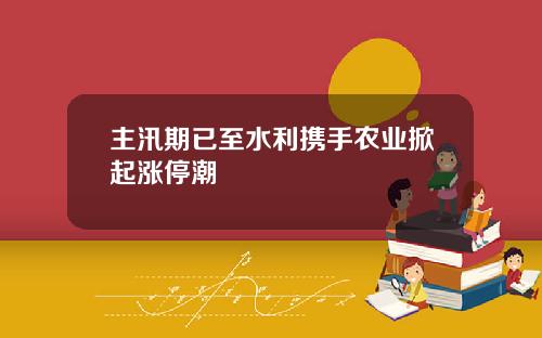主汛期已至水利携手农业掀起涨停潮