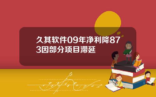 久其软件09年净利降873因部分项目滞延
