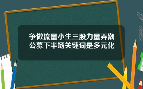 争做流量小生三股力量弄潮公募下半场关键词是多元化