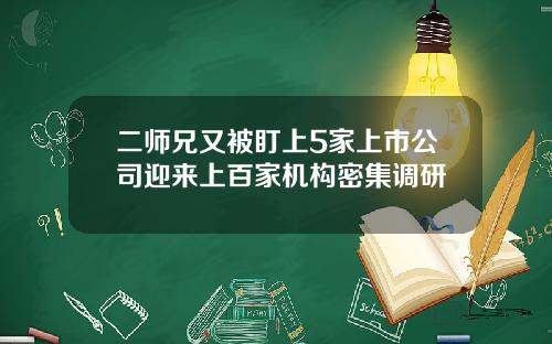 二师兄又被盯上5家上市公司迎来上百家机构密集调研
