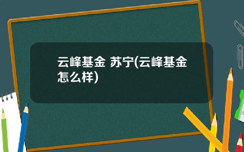 云峰基金 苏宁(云峰基金怎么样)