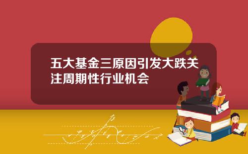 五大基金三原因引发大跌关注周期性行业机会
