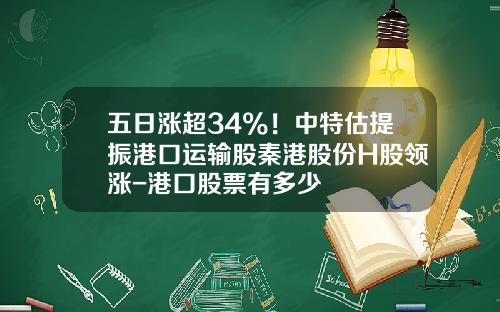 五日涨超34%！中特估提振港口运输股秦港股份H股领涨-港口股票有多少