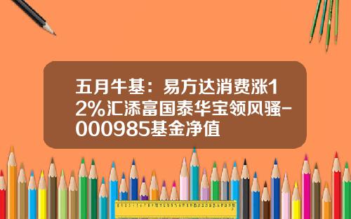 五月牛基：易方达消费涨12%汇添富国泰华宝领风骚-000985基金净值