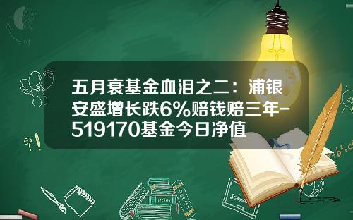 五月衰基金血泪之二：浦银安盛增长跌6%赔钱赔三年-519170基金今日净值